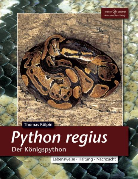 Python regius – Der Königspython